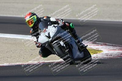 media/Aug-31-2024-TrackDaz (Sat) [[d39206e9d9]]/A Group/10a (Turn 3)/